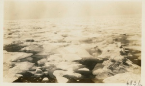 Image of Ice pack